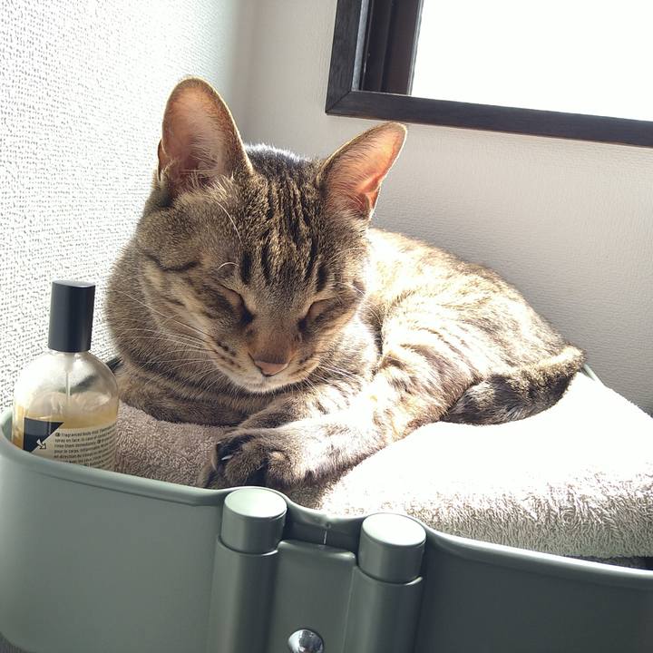 4f1a9c5a 67b6 4948 9c3e 104687b80447 1716597490122