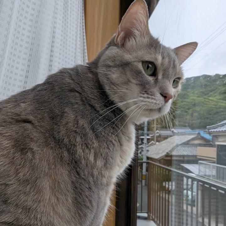 4f1ad7cb d76e 475a b5c7 255bb6719260 1747804487537