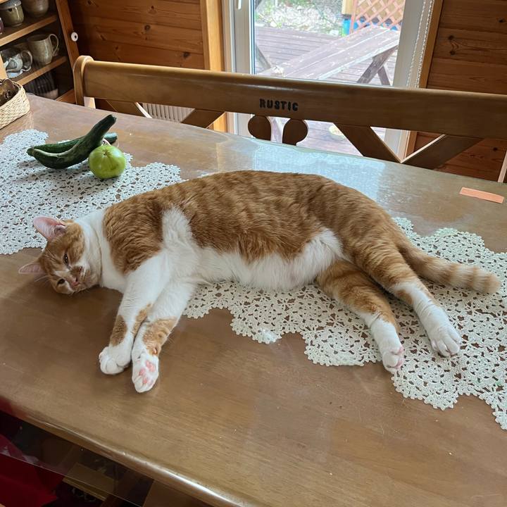 4f1affc8 a27a 4a40 88e3 87d6c187d62a 1692490815225