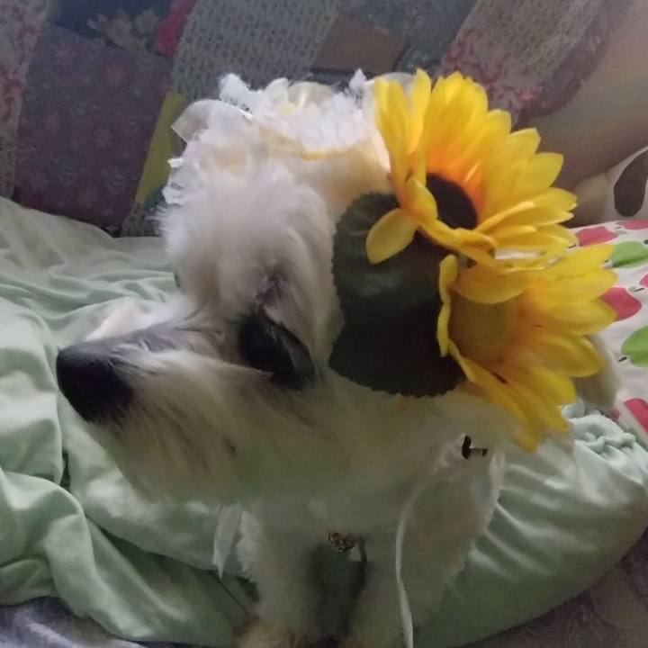 4f1b2d86 cc08 4d02 b8b5 d72a1992c1a6 1752056034238