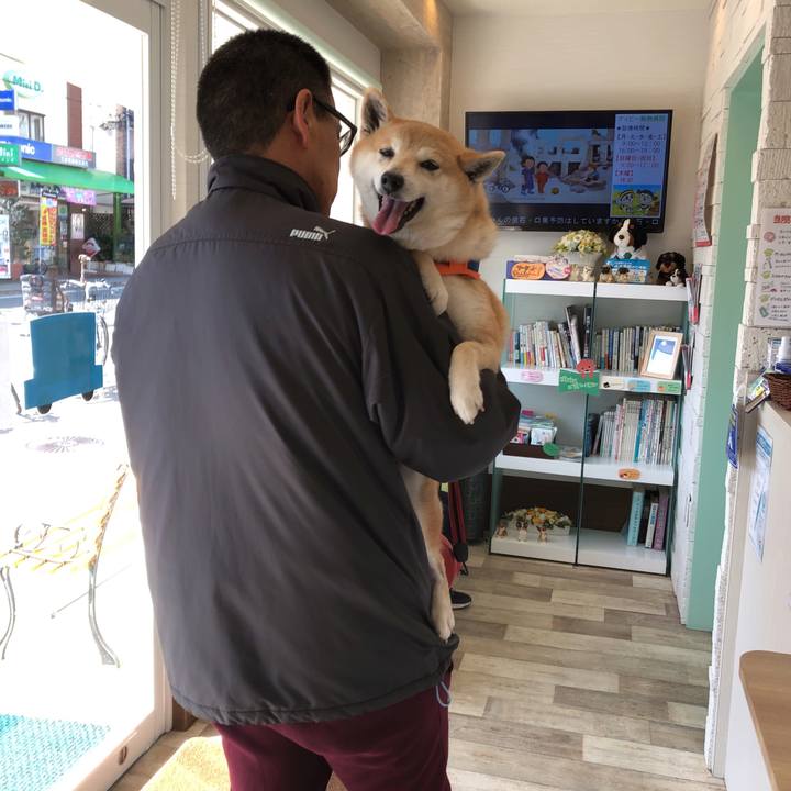 4f1b3e95 6e17 4cee b61a 0ab9f2aa5e36 1583627994459