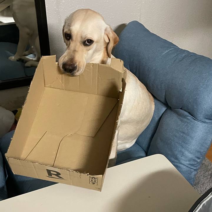 4f1b4801 a84a 401d 8f00 62fdb0e1dd86 1643858017240