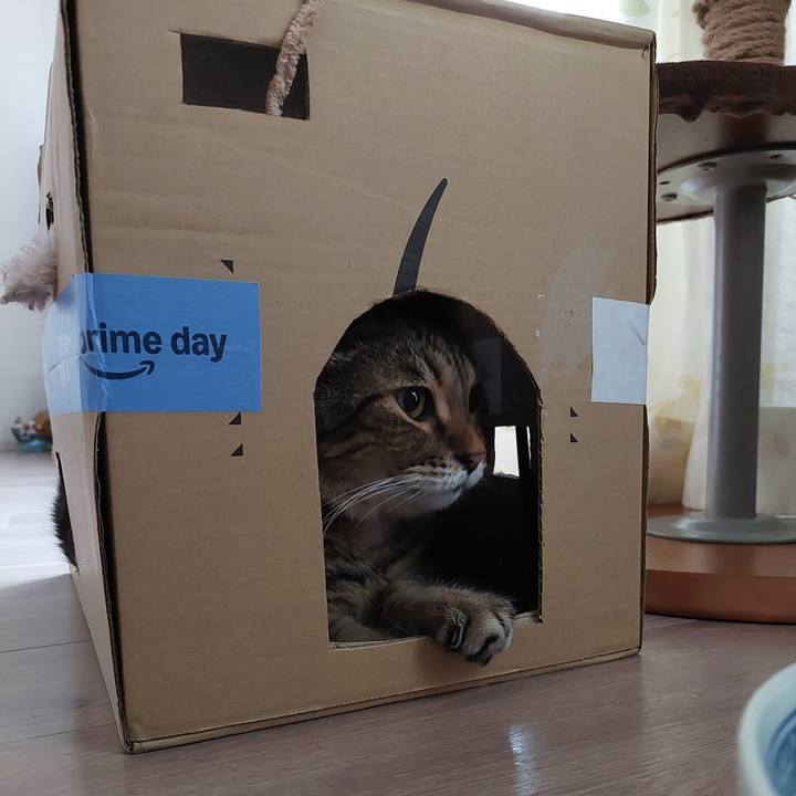 4f1b73e8 ed18 45d7 ba02 f9fcf7b5d3bc 1751146688583