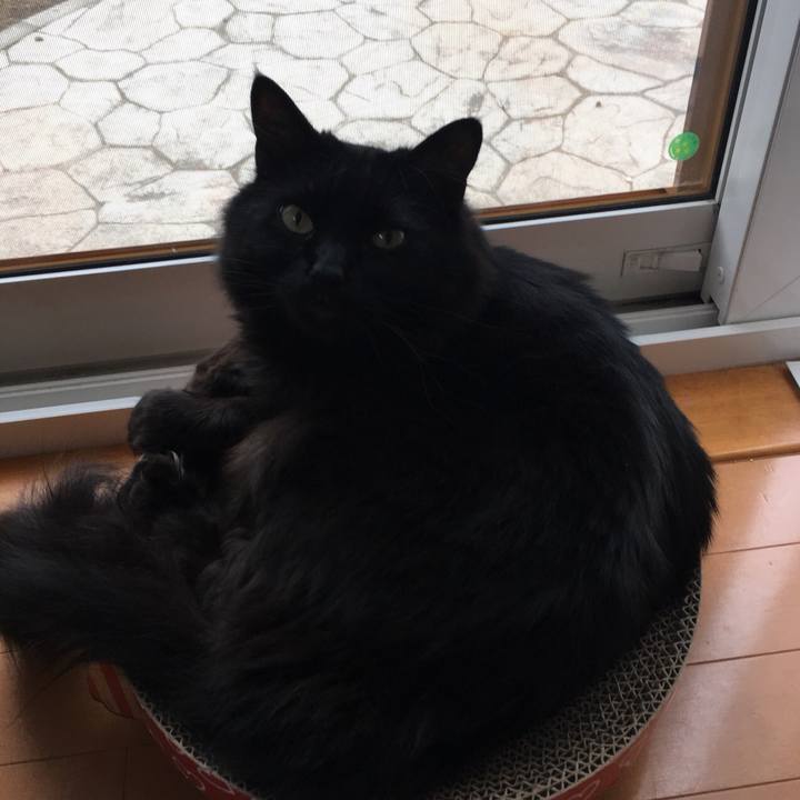 4f1b86ae 2553 4355 8369 503e13d021d8 1527748454918