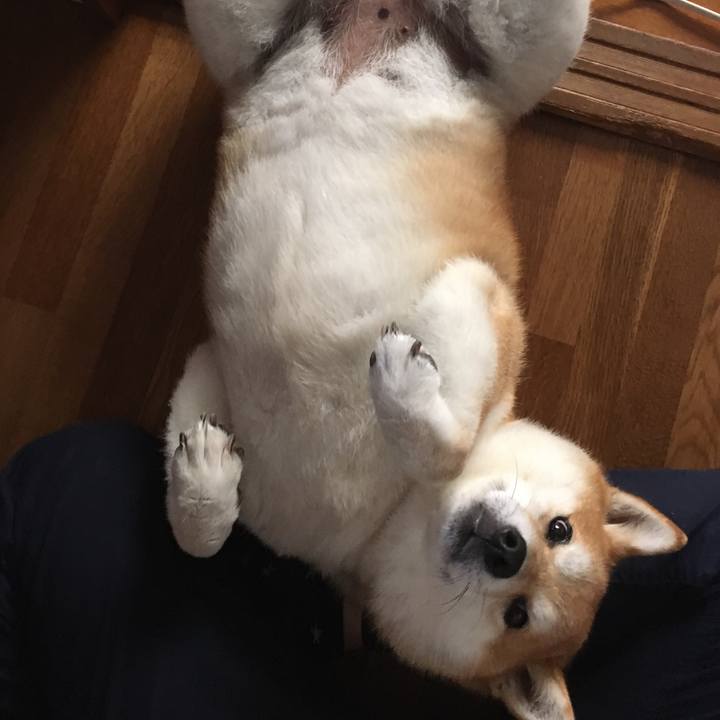 4f1bd215 39a2 4e1a 8616 20050096ac59 1594340393427