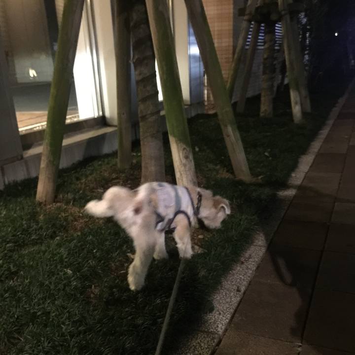 4f1c29c0 ac10 444e bfd4 3c8fbd739185 1537700537321