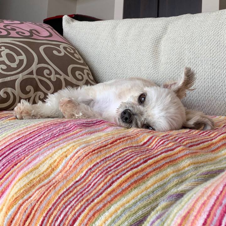 4f1c93e5 2bfc 468f 8cce 79e272d727c9 1570595392833