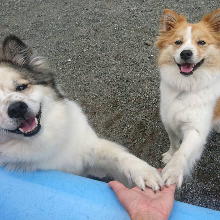 4f1c9560 42a3 407a ab80 2db69113f157 1562423828536