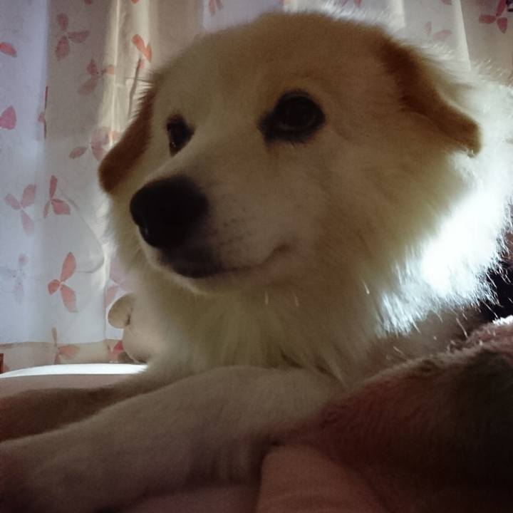 4f1caefe 64e3 487c bec8 41152e1ce494 1537475854395