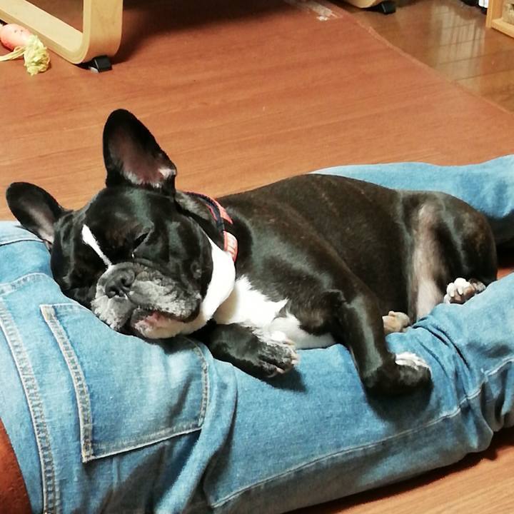 4f1cb96d c306 4280 916b 8408637fa57e 1543023103471