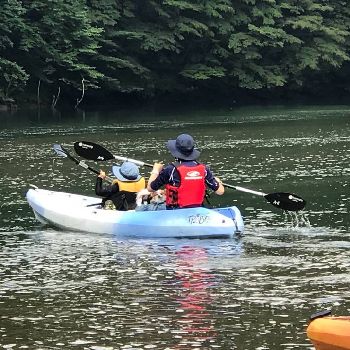 4f1cc6e5 f05e 4b10 849d 93980309940e 1565511513631