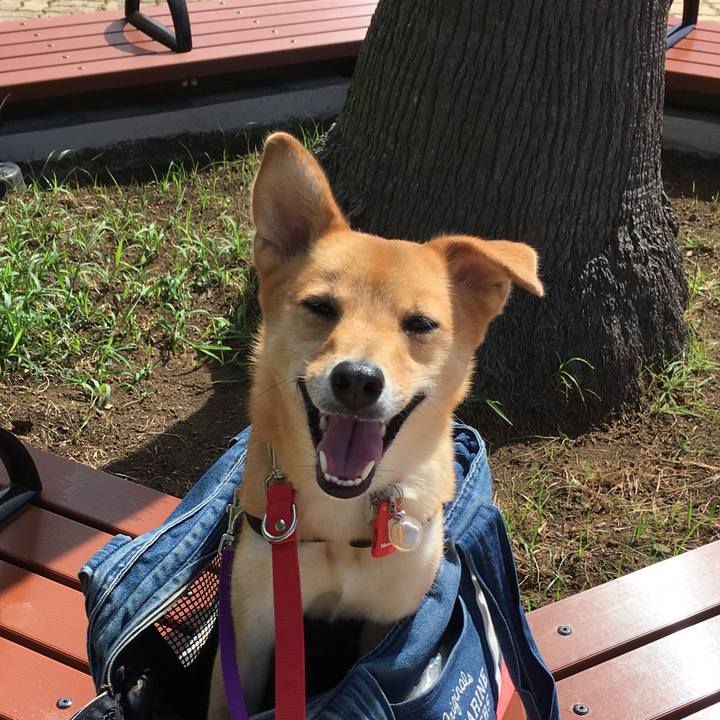 4f1ce6bb aef5 4d47 b61a 327fe72884c7 1536377040043