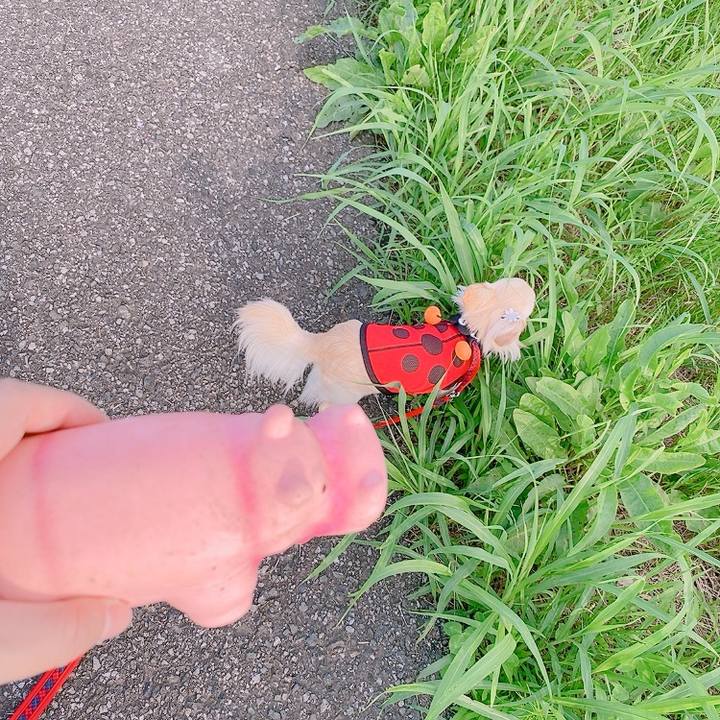 4f1cf36e 9555 4a5b 86a4 f4ce9882fa4b 1624445687222