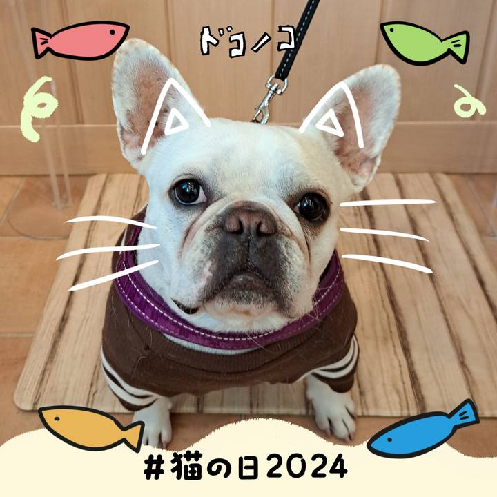 4f1d622a ce35 44b3 940e ca61735fb681 1708556842036