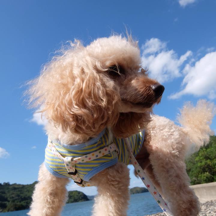 4f1d721e cc02 4968 a30e b615c43743cd 1546659204167