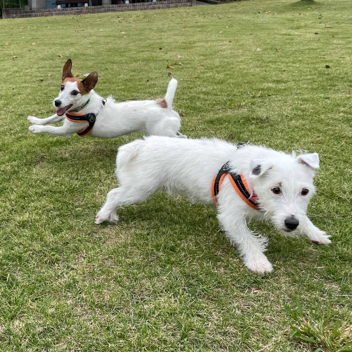 4f1d9d04 4158 4594 83e3 8768e3b1e05e 1761103753817