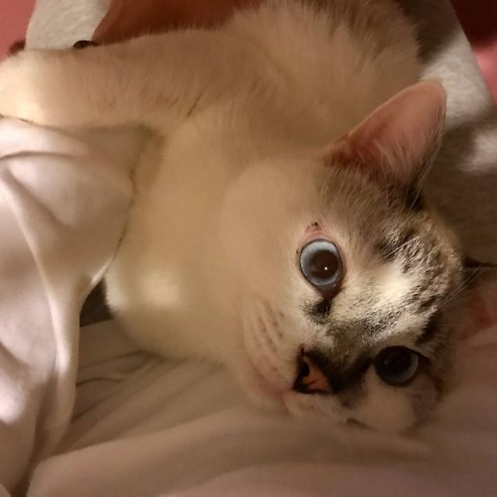 4f1da5cf b683 4644 95b9 834d4d39be35 1509710255543