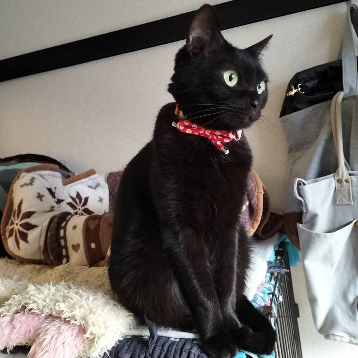 4f1de307 8b7f 4caf 9d06 9bae599c980e 1643927690404