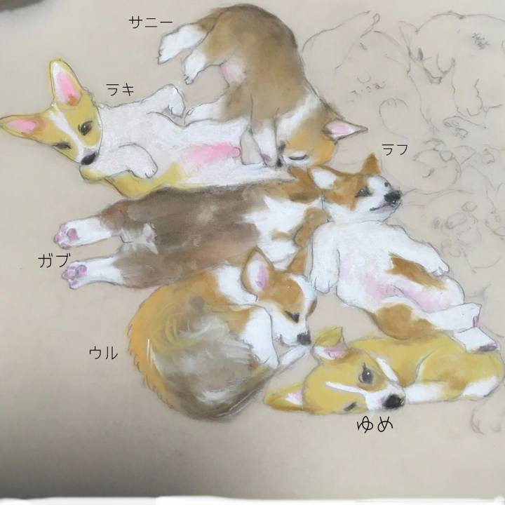 4f1de91b 990b 45ce 91ac e91226051ea4 1611237493000