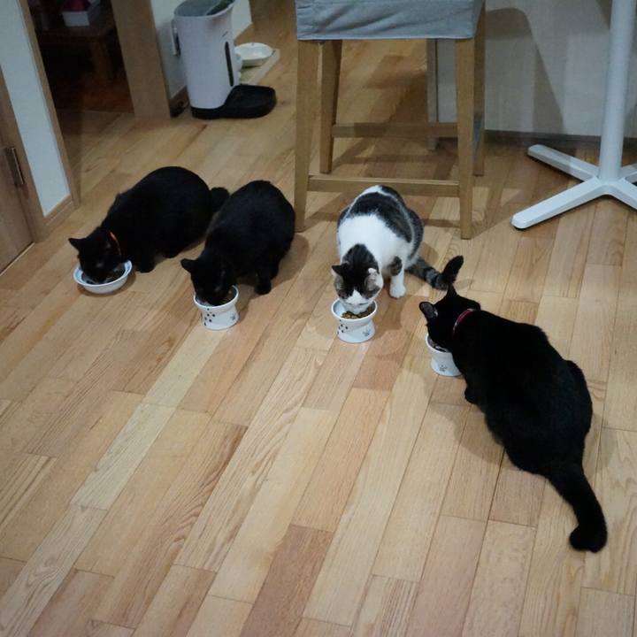 4f1df735 4440 4496 84af ba123fef48e6 1539347359246