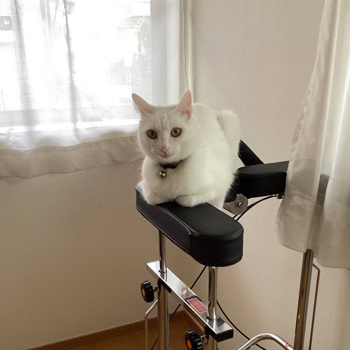 4f1e1de2 c2cd 4bce 9b9f ff47d144376c 1650070801600