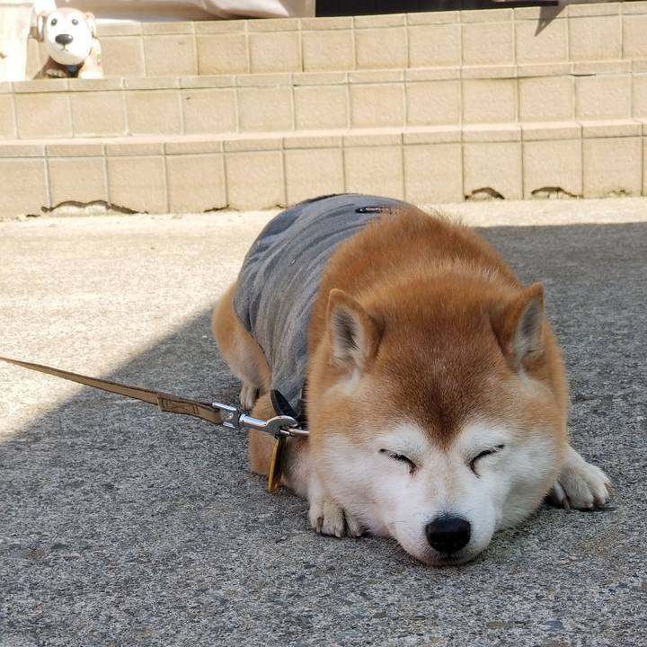 4f1e1e22 c08a 46ad 9595 398e0821ed41 1648105853573