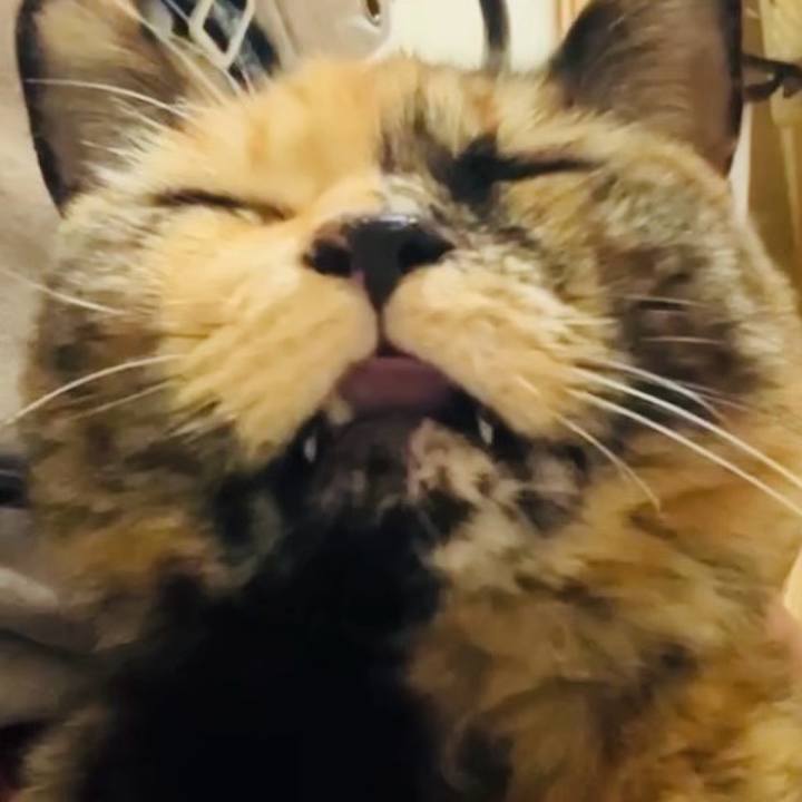 4f1e25d6 e7c0 4c68 ad10 2481bfc1d1c1 1736563744837