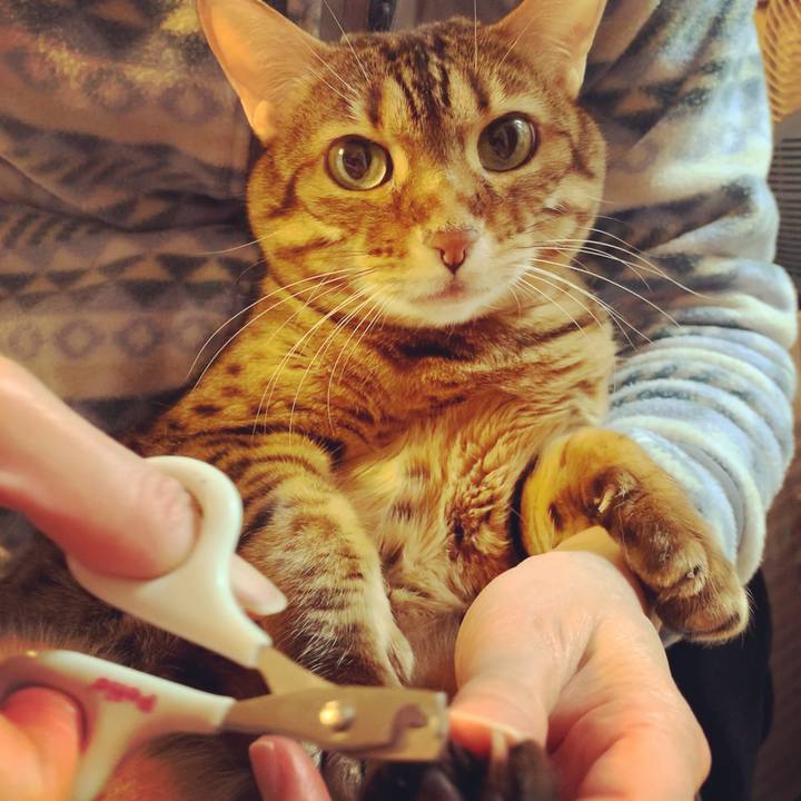 4f1e3db5 febd 4e45 ad41 4e8f3b732d18 1610922171620