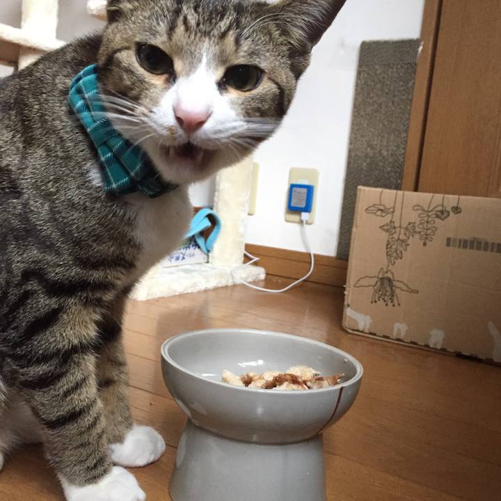 4f1e4039 eff7 4cdd a171 bef6bb689621 1669510731098