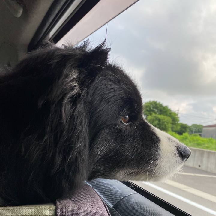 4f1e6394 204e 4874 94c4 381beaabd06d 1686088883990