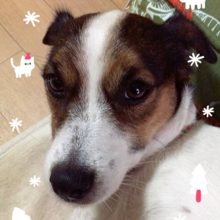 4f1e7332 6561 4e03 94f2 cbe08bf9326b 1512126644280