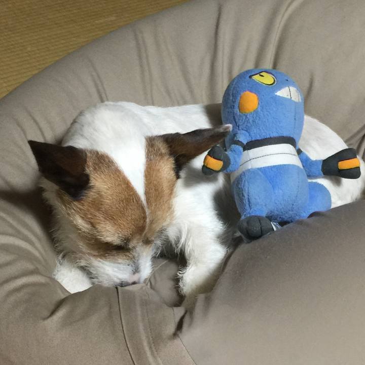 4f1e96bf 7c17 4ac8 878d 5b045e6d047f 1522321075909