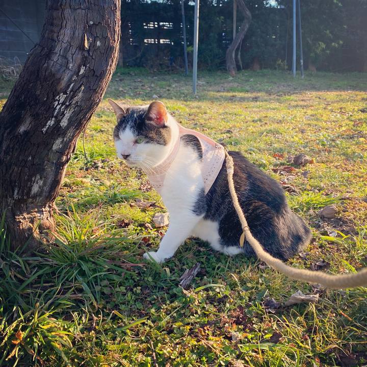 4f1eb317 40d2 47cb ae77 0c049fc29a92 1639299542152