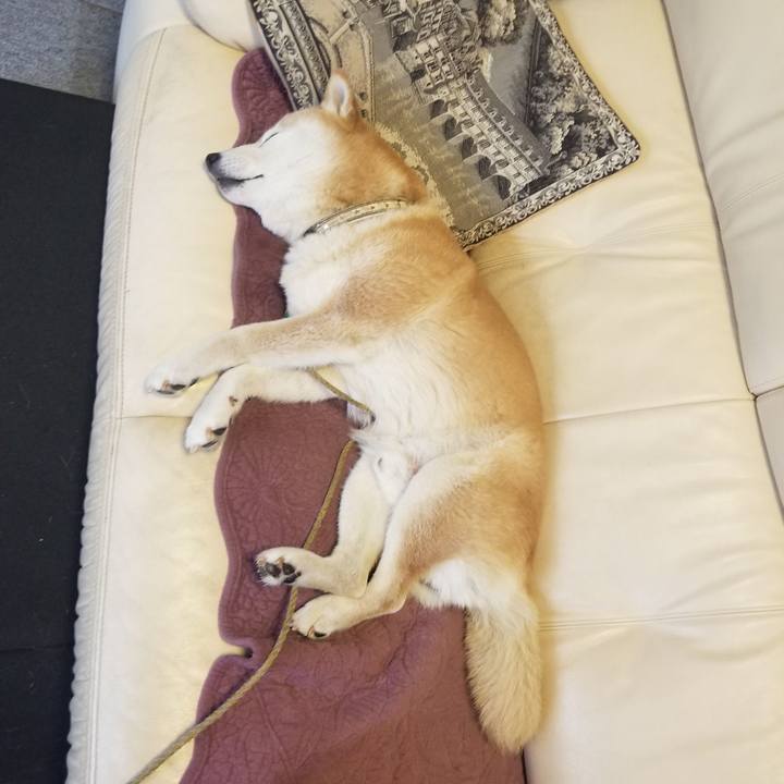 4f1ebbfe a2fe 41f5 baa0 b5049fd36ec2 1695010256183