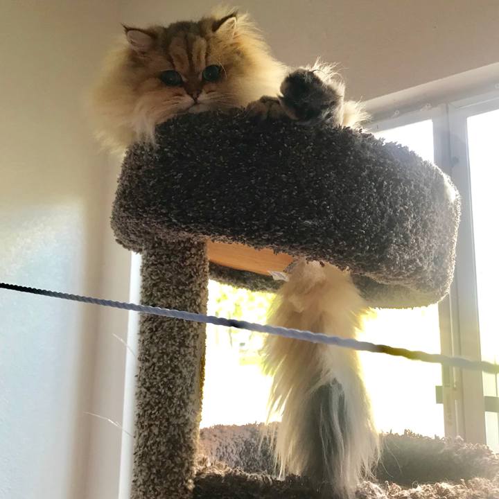 4f1ef4bf 93c5 4d21 b0af d474d4f48d13 1546667193198