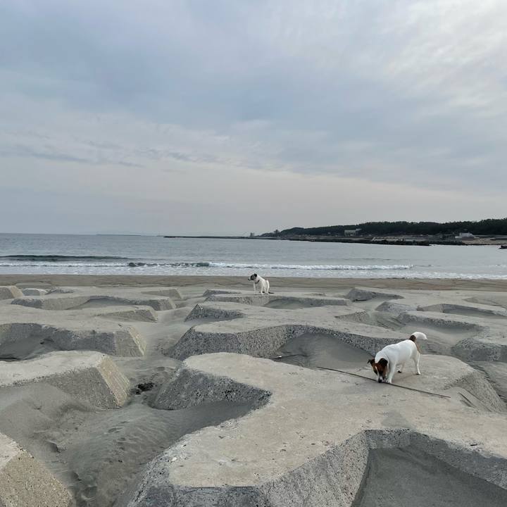 4f1f0925 2f22 4a01 b063 e3e032a2d122 1712100256209