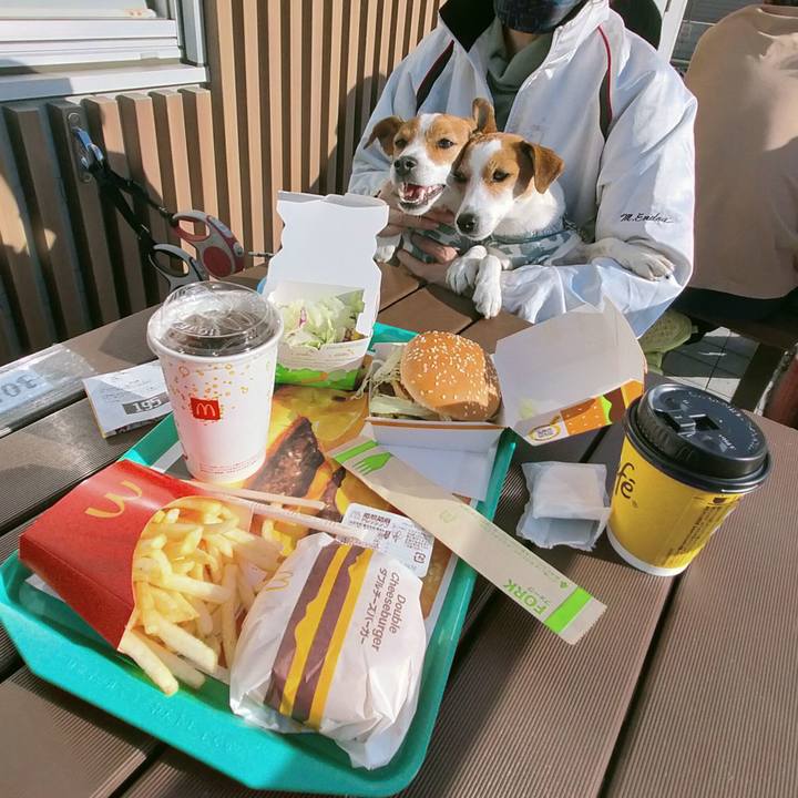 4f1f54c3 9f2d 4749 9283 3dd400548acf 1767080913999