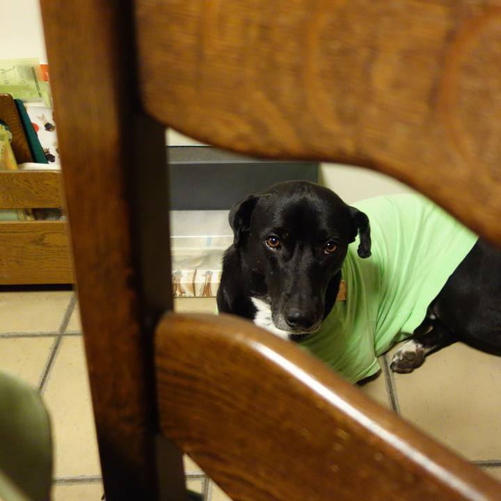 4f1f75ab cce0 4eac 9d94 8d058557b947 1612953501519