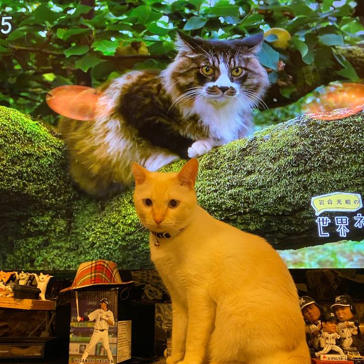 4f1f8202 e25e 4f44 ad2c 30210496c9ab 1635049785233