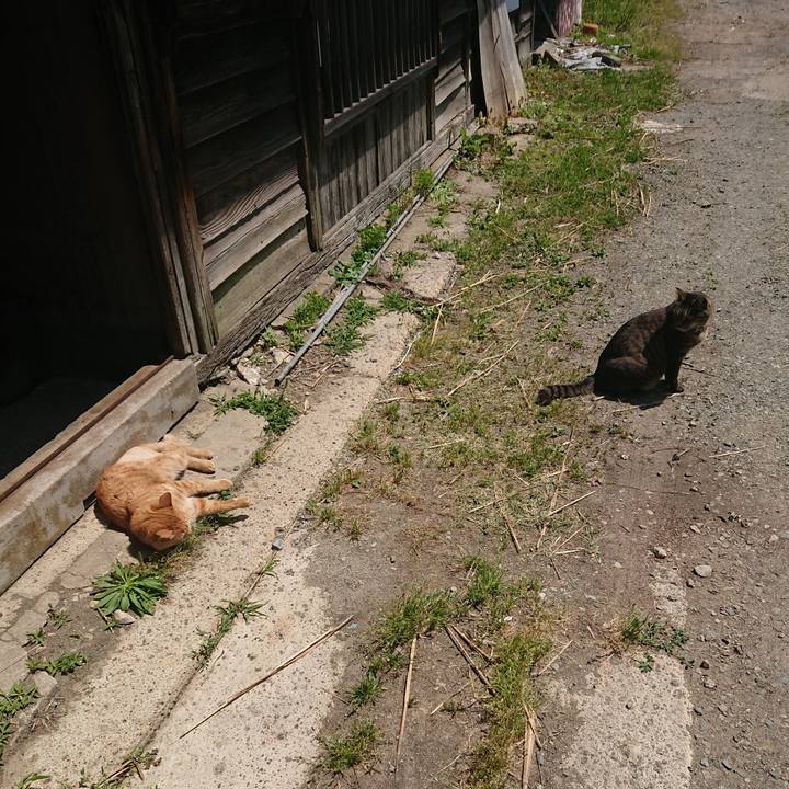 4f1f90f1 70e9 498d 8f0a 03a77ca68727 1653878007756