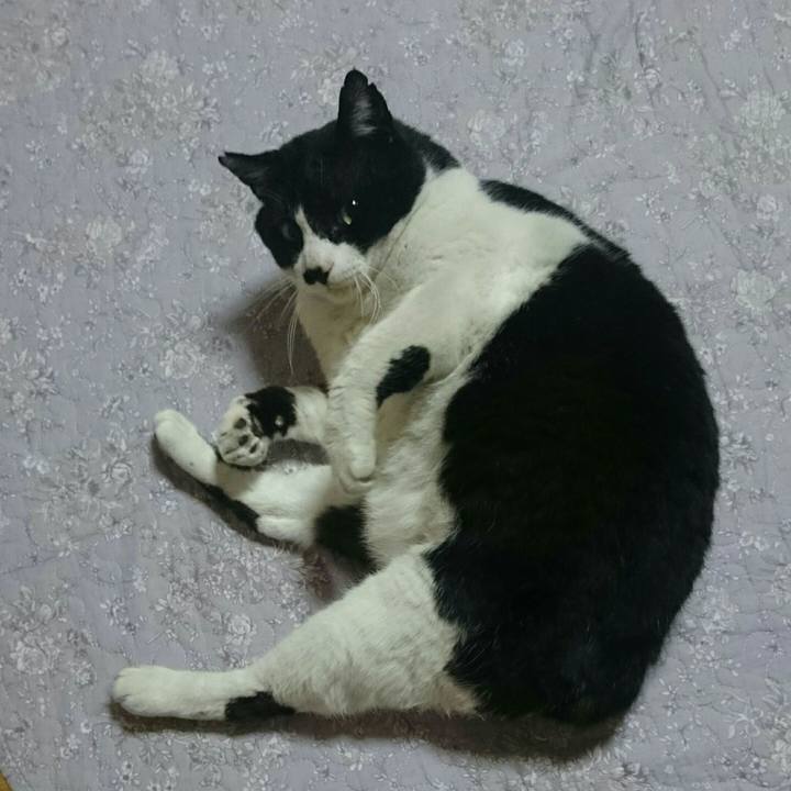 4f202f0b e170 4e98 ab3d 8e20959b7c3d 1522799145055