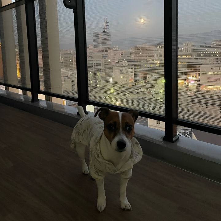 4f20646a 554c 492f be43 d6a4e9154f34 1701082134206