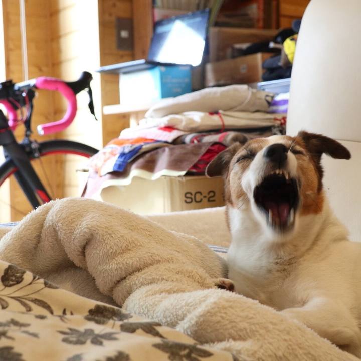 4f206ea1 5648 4801 a23e 85d171a13899 1523447428768