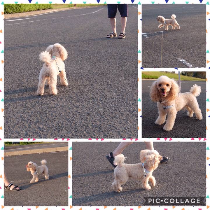 4f207697 6221 4346 b806 bac4b5e1a0d4 1600562449353