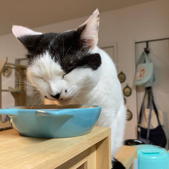 4f20a5f9 96af 4015 820f 684da317fec8 1761771459062