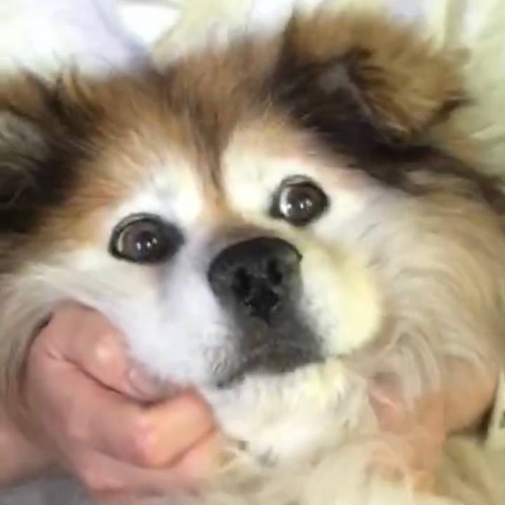 4f20a6ae bd37 4332 b81d 6244091c12f7 1649861758798