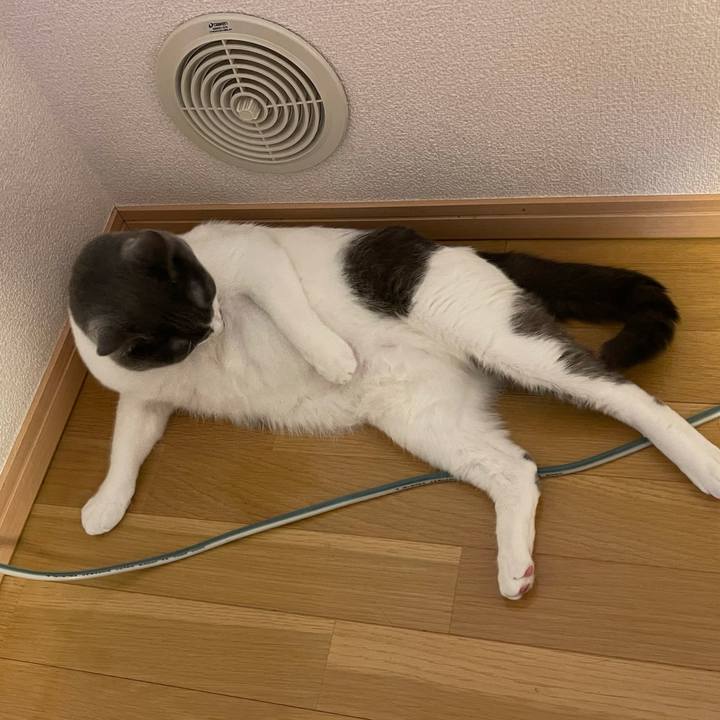 4f20d4ae 7231 4f6e ae05 a0deeeb756f5 1628922048060