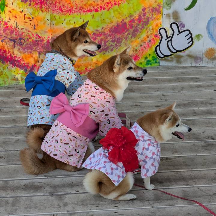 4f20ecb5 b2f6 458f 8a3a 549437e283be 1722524911144