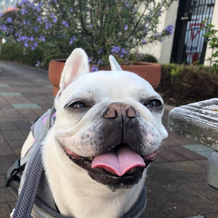 4f212a89 b9f0 489b b969 a547c70f5ecf 1649471531058