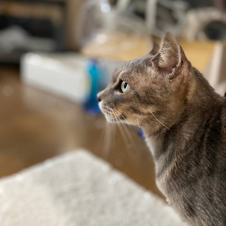 4f2159af 34ae 447f 9f2c 2cf70873cd85 1603539506422